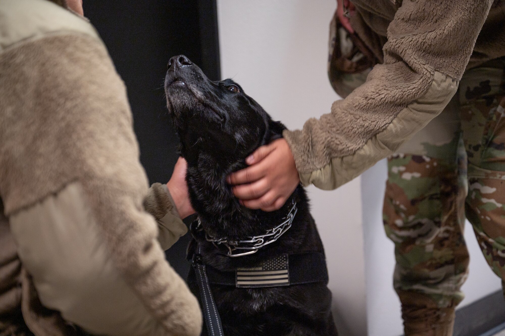Baby Doll receives a pet from an Airman while making her rounds at the 349th Medical Group building at Travis Air Force.