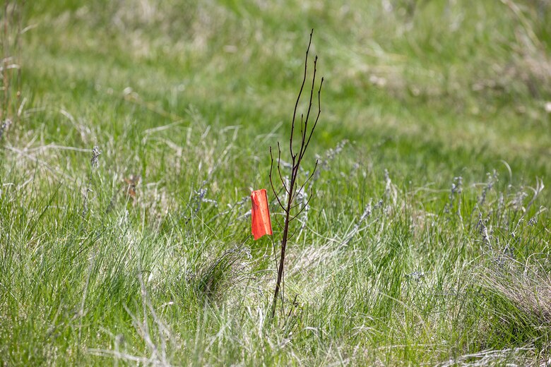 A photo from a vegetation planting partnership project.