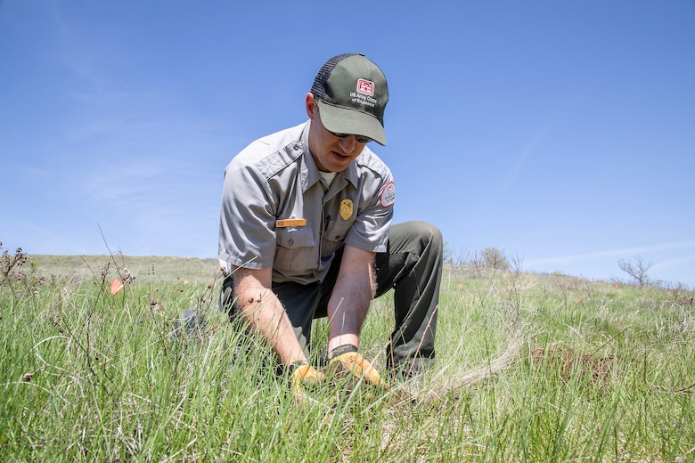 A photo from a vegetation planting partnership project.