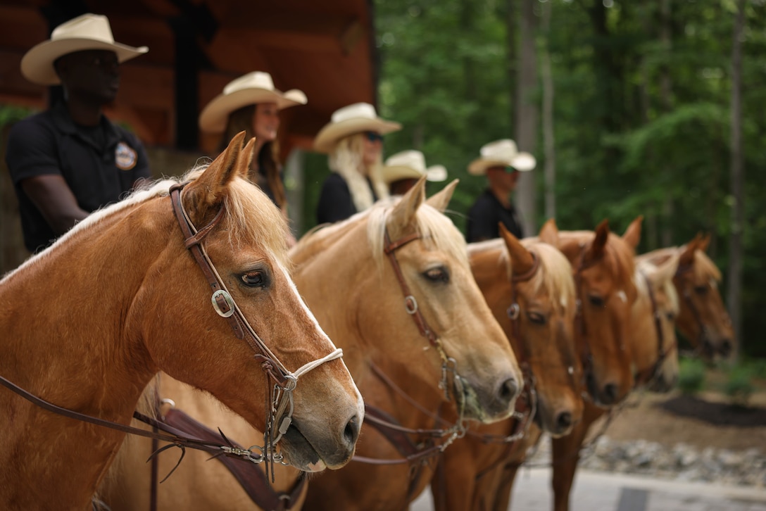 U.S. Marine Corps Mounted Color Guard pose for a photo at the National Museum of the Marine Corps, Triangle, Virginia, May 24, 2024. The Mounted Color Guard is based out of Marine Corps Logistics Base Barstow, California, and is the only mounted color guard in the Marine Corps. They travel nationwide to perform in parades, ceremonies, and rodeos. (U.S. Marine Corps photo by Lance Cpl. David Brandes)