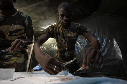 Stitching together: Senegal, US host surgical training with partners