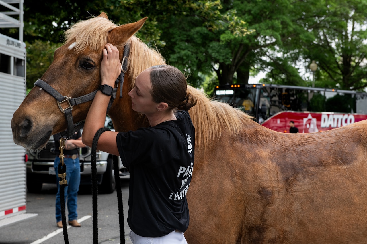 A Marine pets a horse.