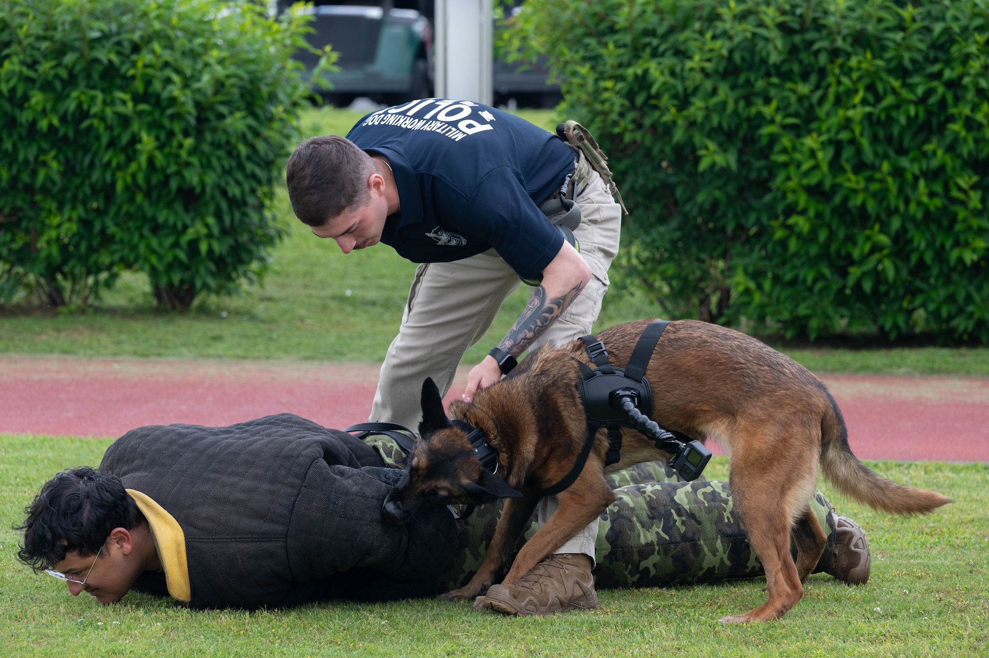 A K-9 secures a person.