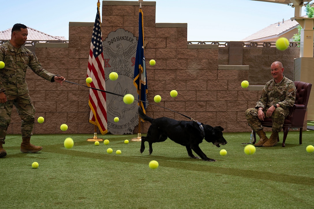 A military working dog lunges toward a tennis ball as other balls fly around it. The dog is on a leash, held by a service member, as a seated service member watches.