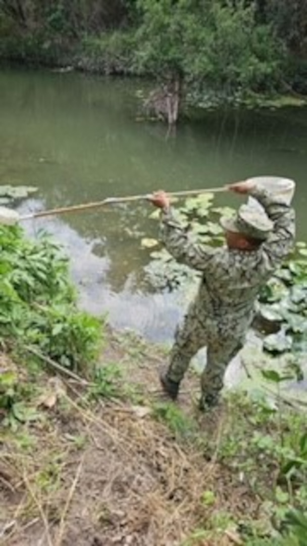 A Navy graduate of the METC Preventive Medicine Technician course participates in the Entomology block of the U.S. Army Medical Center of Excellence Preventive Medicine Operations course by conducting mosquito larvae surveillance at Salado Creek.