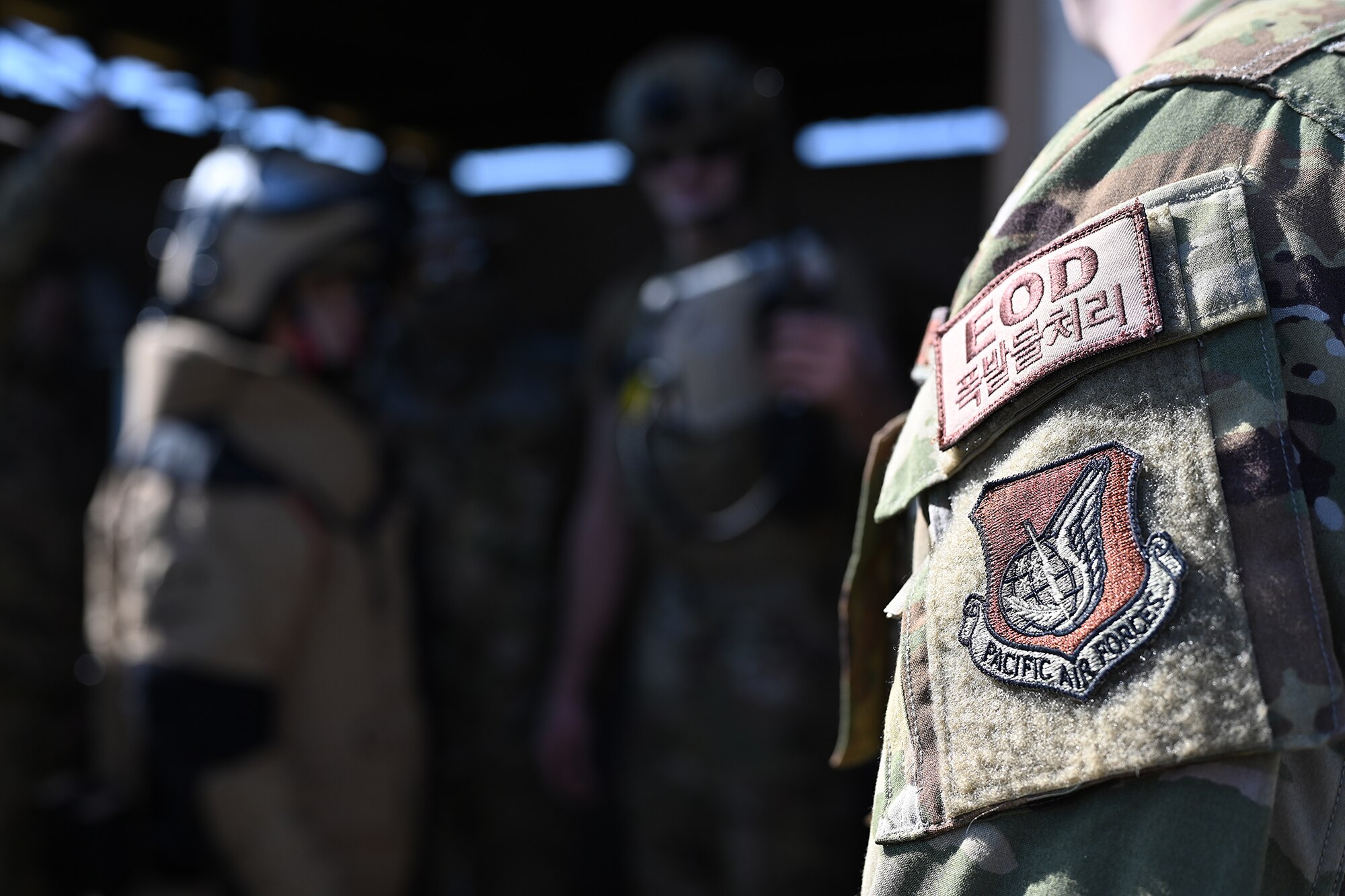 An explosive ordnance disposal and Pacific Air Forces patch is displayed on U.S. Air Force Staff Sgt. Nathan Davis, 8th Civil Engineer Squadron EOD team leader, during joint EOD training with Republic of Korea Air Force Airmen at Kunsan Air Base, ROK.