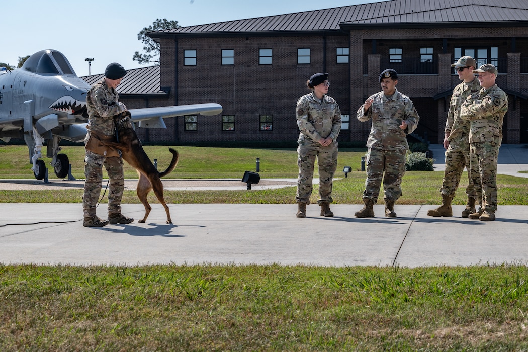 U.S. Air Force Col. Gary Symon, 23rd Wing acting commander, second from right, and Chief Master Sgt. William Nabakowski, 23rd Wing acting command chief, far right, watch Airmen assigned to the 23rd Security Forces Squadron conduct a military working dog demonstration at Moody Air Force Base, Georgia, Oct. 28, 2024. The military working dog team demonstrated de-escalation tactics and substance detection as part of a Battlefield Circulation immersion. (U.S. Air Force photo by Airman 1st Class Savannah Carpenter)