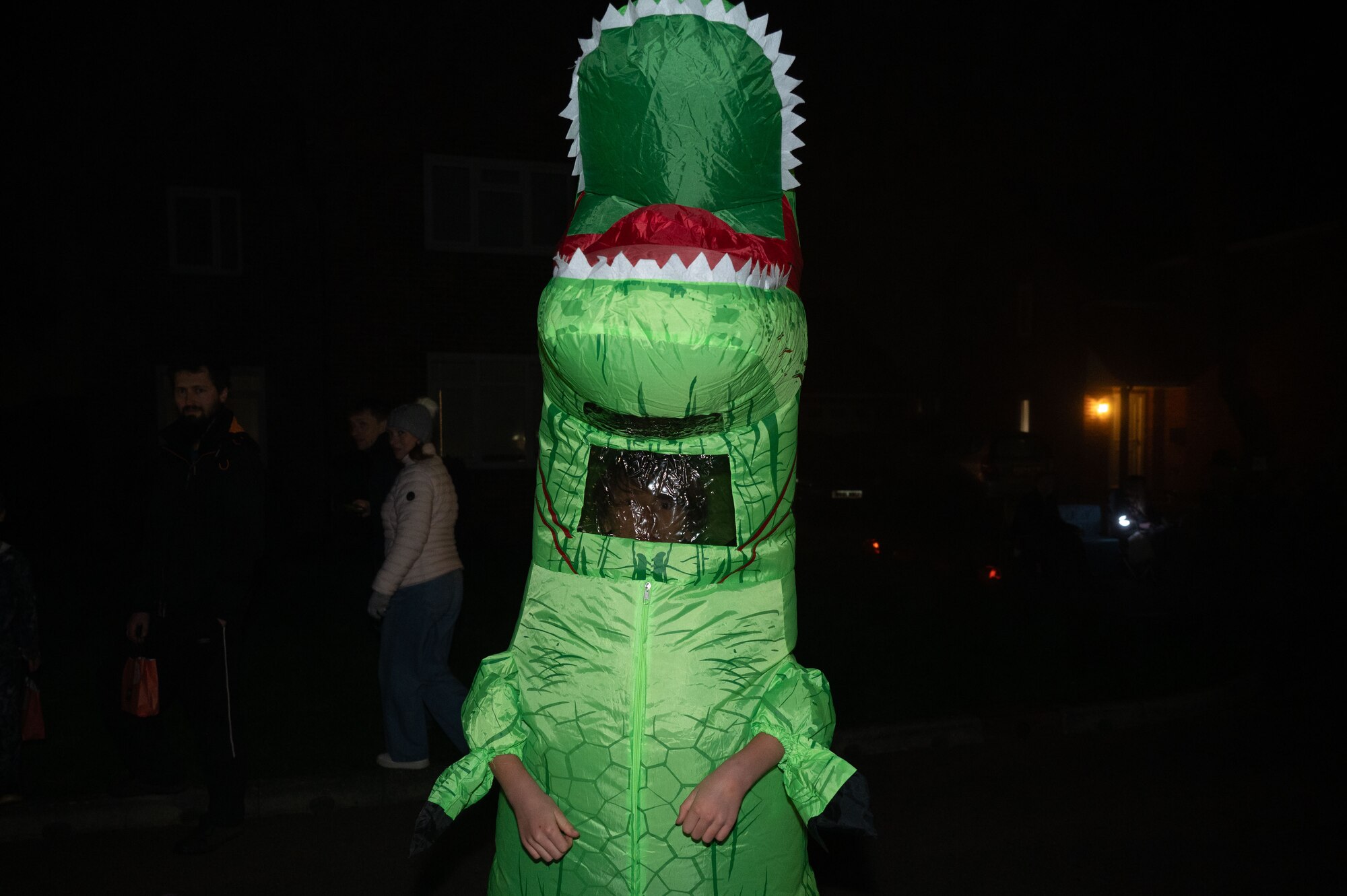 A child dressed as a dinosaur poses for a photo