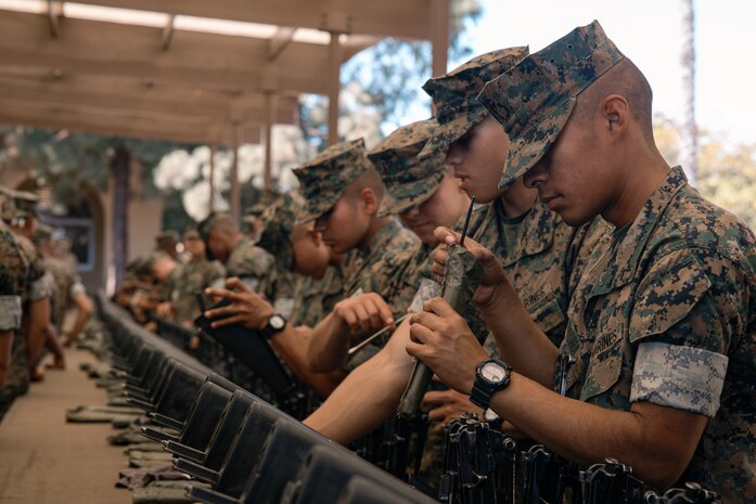 U.S. Marines with India Company, 3rd Recruit Training Battalion, clean their rifles during a M16A4 service rifle de-issue at Marine Corps Recruit Depot San Diego, California, Oct. 23, 2024. After carrying their rifles throughout recruit training the new Marines will properly clean and de-issue their rifles to extend the life of the rifles and allow more time to maintain them for future recruits. (U.S. Marine Corps photo by Cpl. Sarah M. Grawcock)