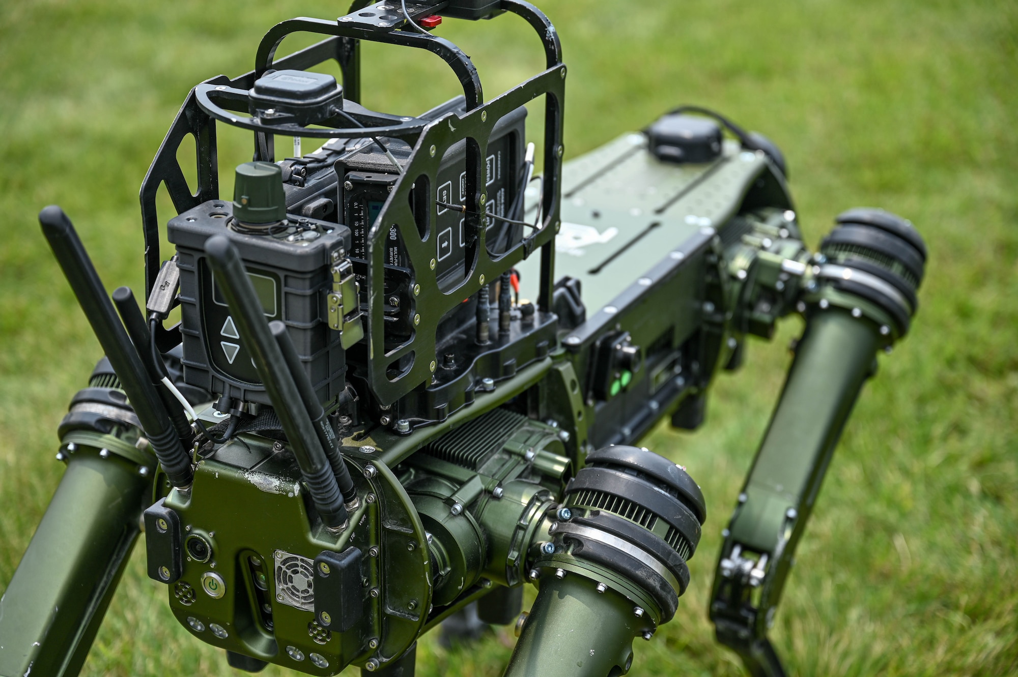 robotic dog