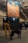 NCIS at IACP