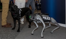 NCIS at IACP