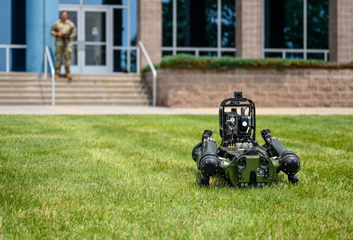 robot dog crouching in grass
