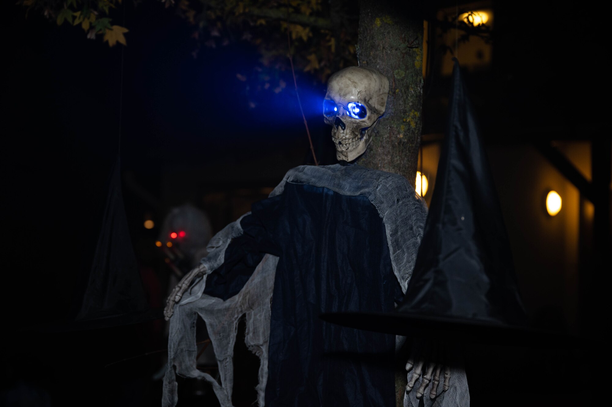 A skeleton decoration sits against a tree