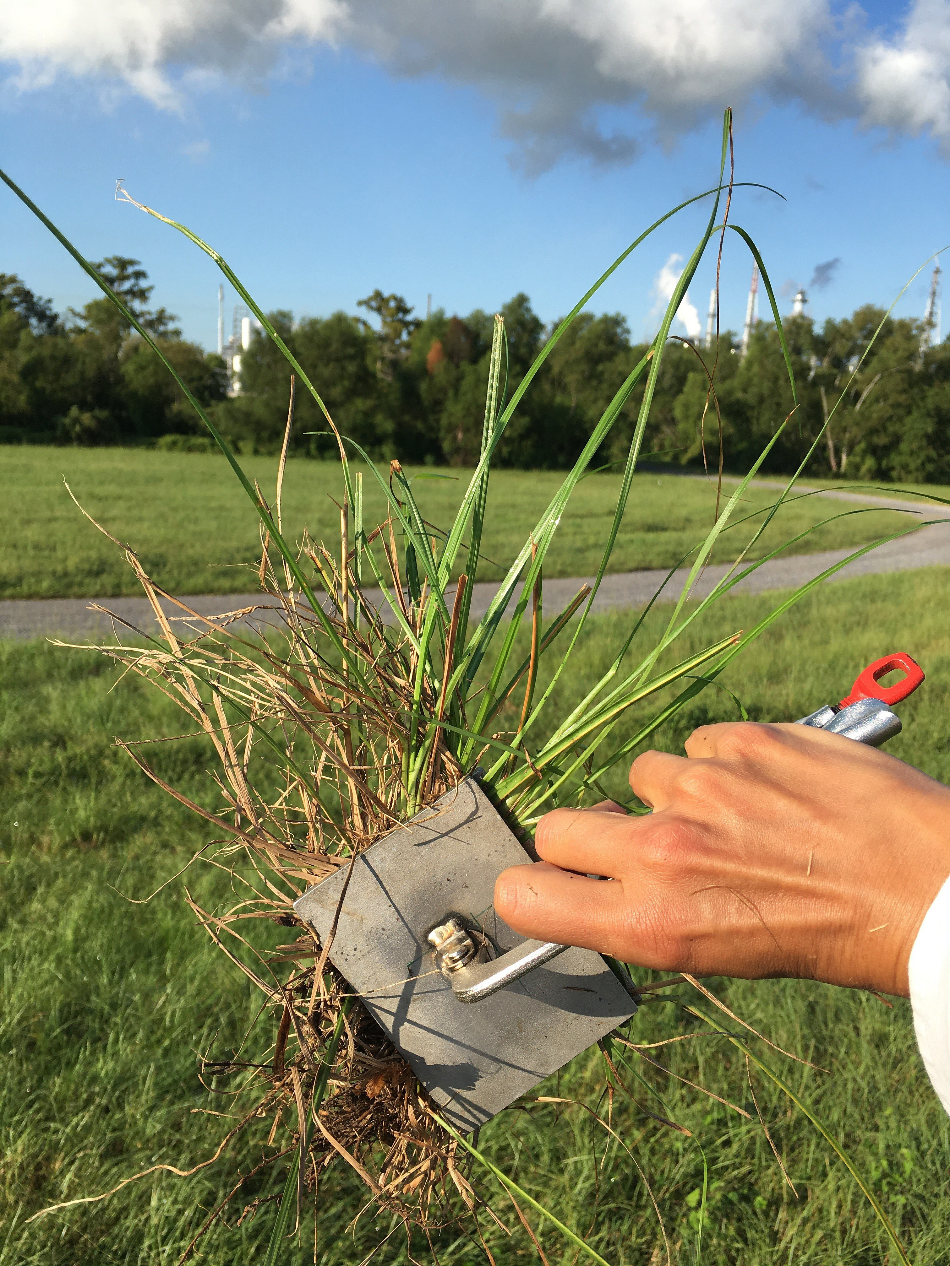 ERDC looks to modernize flood models with levee vegetation index