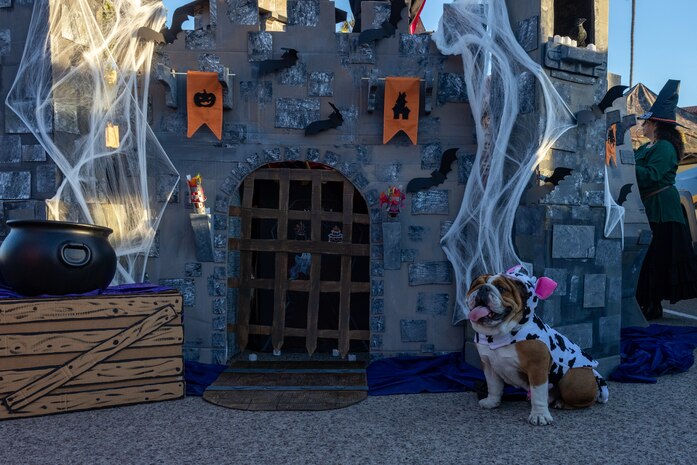 U.S. Marine Corps Lance Cpl. Bruno the Marine Corps Recruit Depot San Diego and the Western Recruiting Region mascot, participates in the Marine Corps Community Services Annual Trunk-or-Treat event at MCRD San Diego, California, Oct. 25, 2024.  The trunk-or-treat event gives the Marines, Sailors, civilians and their families an opportunity to dress up and collect candy in a safe and controlled environment. The mascot’s job is to boost morale, participate in outreach work and attend events and ceremonies. (U.S. Marine Corps photo by Lance Cpl. Jacob B. Hutchinson)