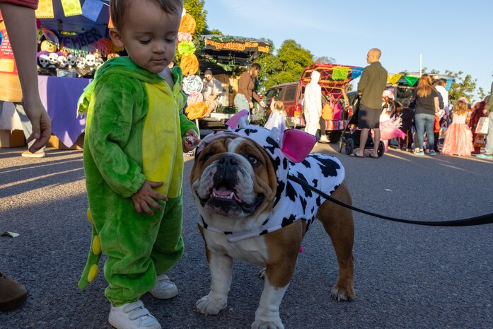 U.S. Marine Corps Lance Cpl. Bruno the Marine Corps Recruit Depot San Diego and the Western Recruiting Region mascot, participates in the Marine Corps Community Services Annual Trunk-or-Treat event at MCRD San Diego, California, Oct. 25, 2024.  The trunk-or-treat event gives the Marines, Sailors, civilians and their families an opportunity to dress up and collect candy in a safe and controlled environment. The mascot’s job is to boost morale, participate in outreach work and attend events and ceremonies. (U.S. Marine Corps photo by Lance Cpl. Jacob B. Hutchinson)