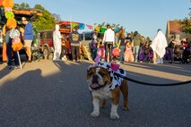 U.S. Marine Corps Lance Cpl. Bruno the Marine Corps Recruit Depot San Diego and the Western Recruiting Region mascot, participates in the Marine Corps Community Services Annual Trunk-or-Treat event at MCRD San Diego, California, Oct. 25, 2024.  The trunk-or-treat event gives the Marines, Sailors, civilians and their families an opportunity to dress up and collect candy in a safe and controlled environment. The mascot’s job is to boost morale, participate in outreach work and attend events and ceremonies. (U.S. Marine Corps photo by Lance Cpl. Jacob B. Hutchinson)