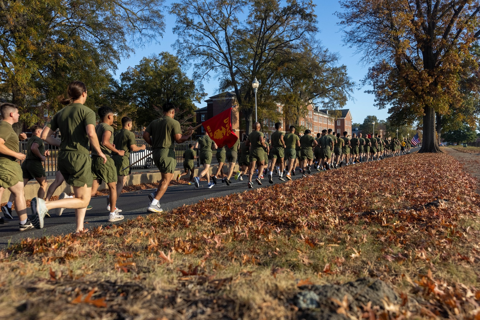 U.S. Marines assigned to Marine Corps Base Quantico participate in a motivational run honoring the Marine Corps’ 249th birthday on MCBQ, Virginia, Nov. 6, 2024. Each year, Marines come together to celebrate the Marine Corps birthday with ceremonies that recall the history of the Corps and enhance the camaraderie shared across generations of Marines. (U.S. Marine Corps photo by Lance Cpl. Braydon Rogers)