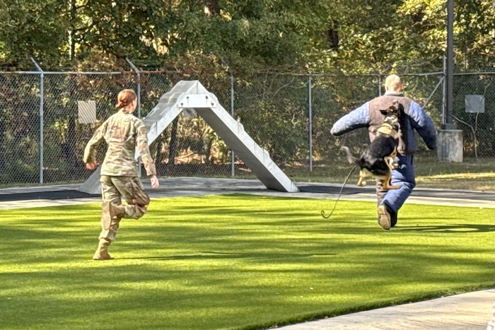 Photo shows K-9 chasing down a man