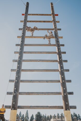 U.S. Marine Corps recruits with Fox Company, 2nd Recruit Training Battalion, climb up an obstacle during a confidence course training event at Marine Corps Recruit Depot San Diego, California, Oct. 24, 2024. The confidence course challenges recruits physically and mentally through obstacles that require confidence in their strength, balance, and determination. (U.S. Marine Corps photo by Cpl. Sarah M. Grawcock)
