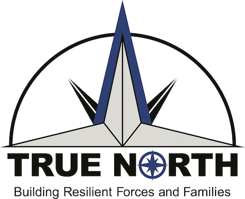 True North graphics logo