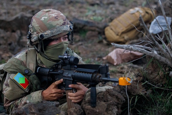 100th BN 422nd IN REGT Soldiers defend the night