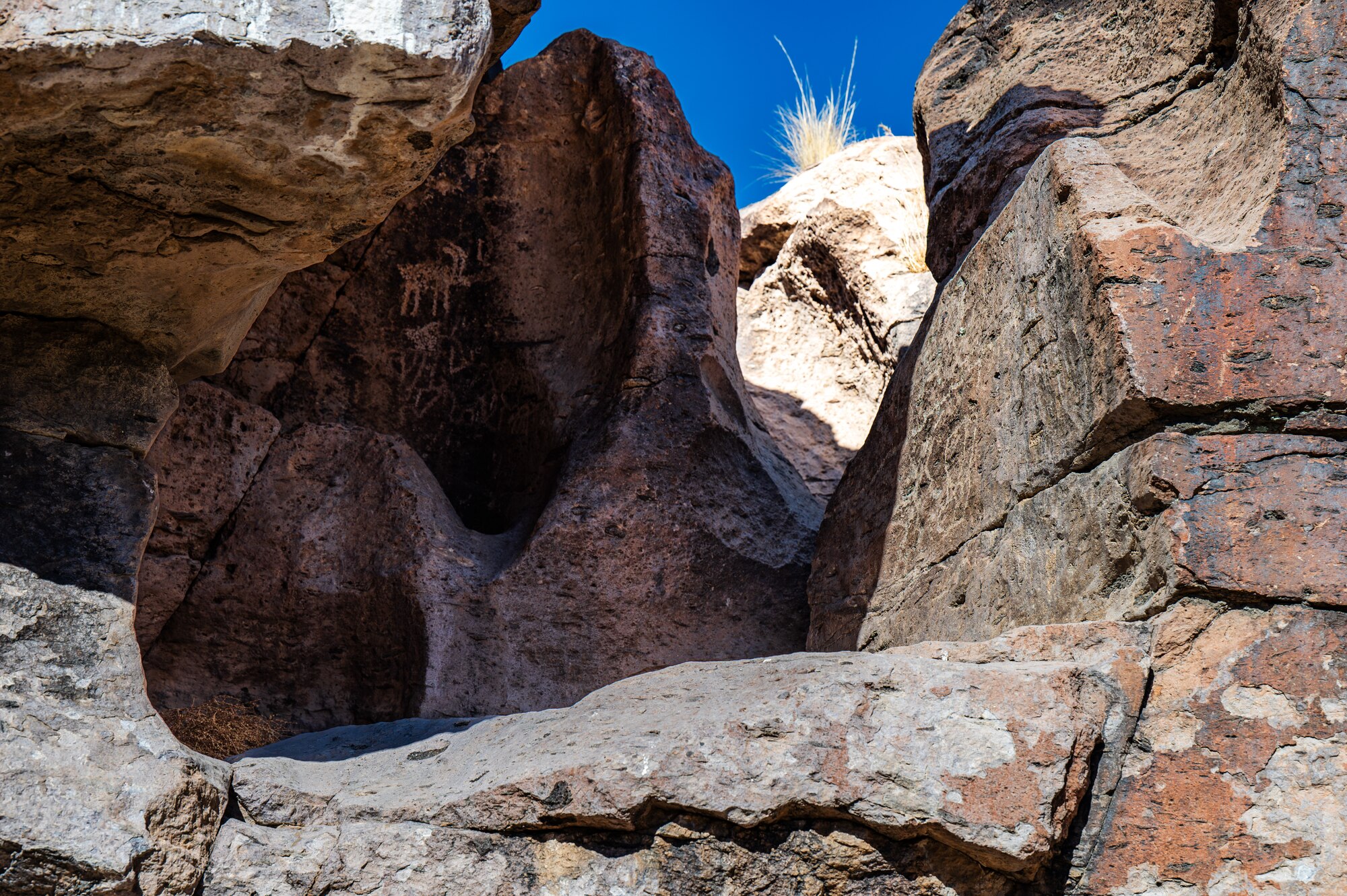 Petroglyphs on a canyon wall.