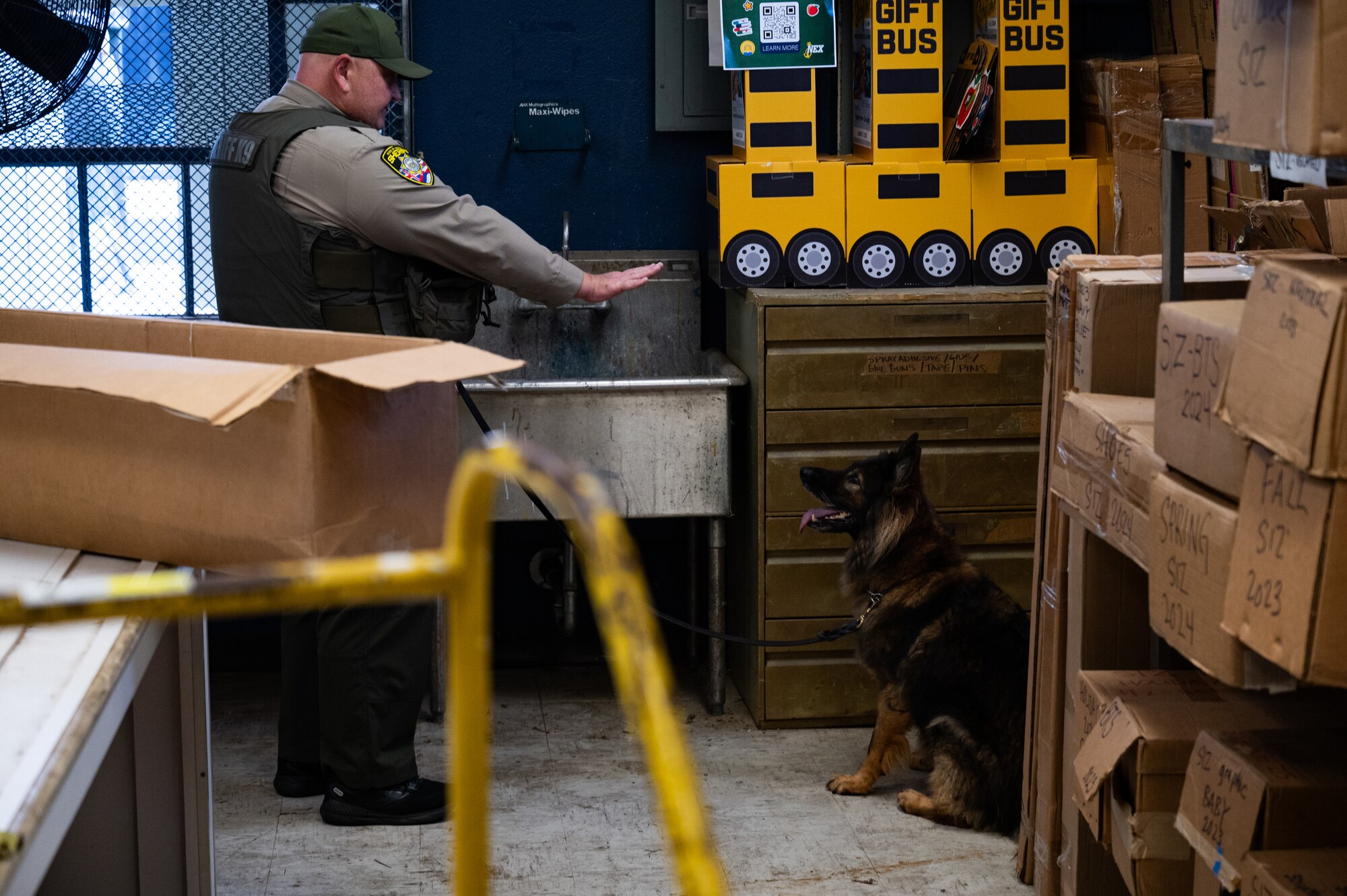 A Sheriff extends arm to halt police dog during a detection training.