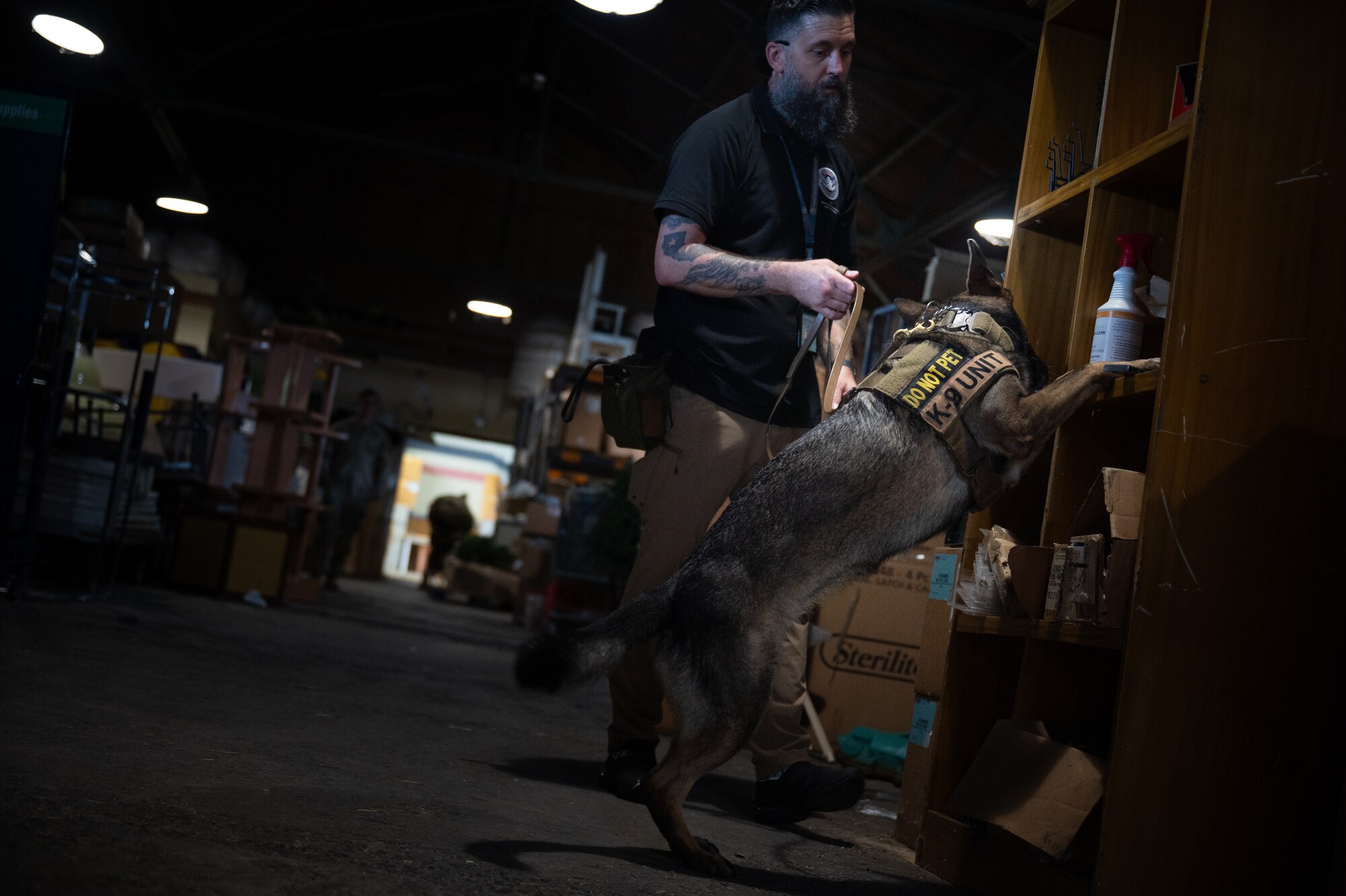A Transportation Security Administration working dog sniffs for training explosives on top of a shelf.