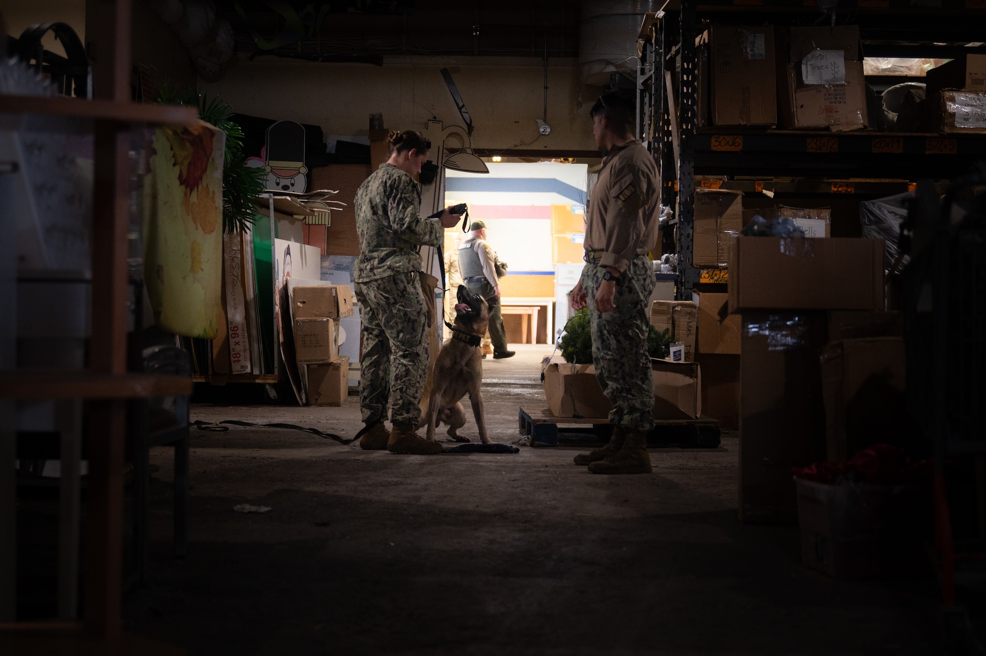 Military Working Dog Handler and Dog look at eachother inside a warehouse.