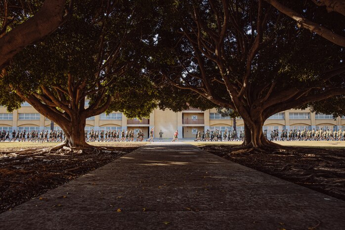 U.S. Marines with Delta Company, 1st Recruit Training Battalion, run in formation during their motivational run at Marine Corps Recruit Depot San Diego, California, Oct. 31, 2024. The company motivational run is a three-mile cadence run conducted around the Depot and is the last physical training event the Marines will conduct before the graduate from MCRD San Diego. The event is also the first time friends and families will see their newly transformed Marines. (U.S Marine Corps  photo by Cpl. Sarah M. Grawcock)