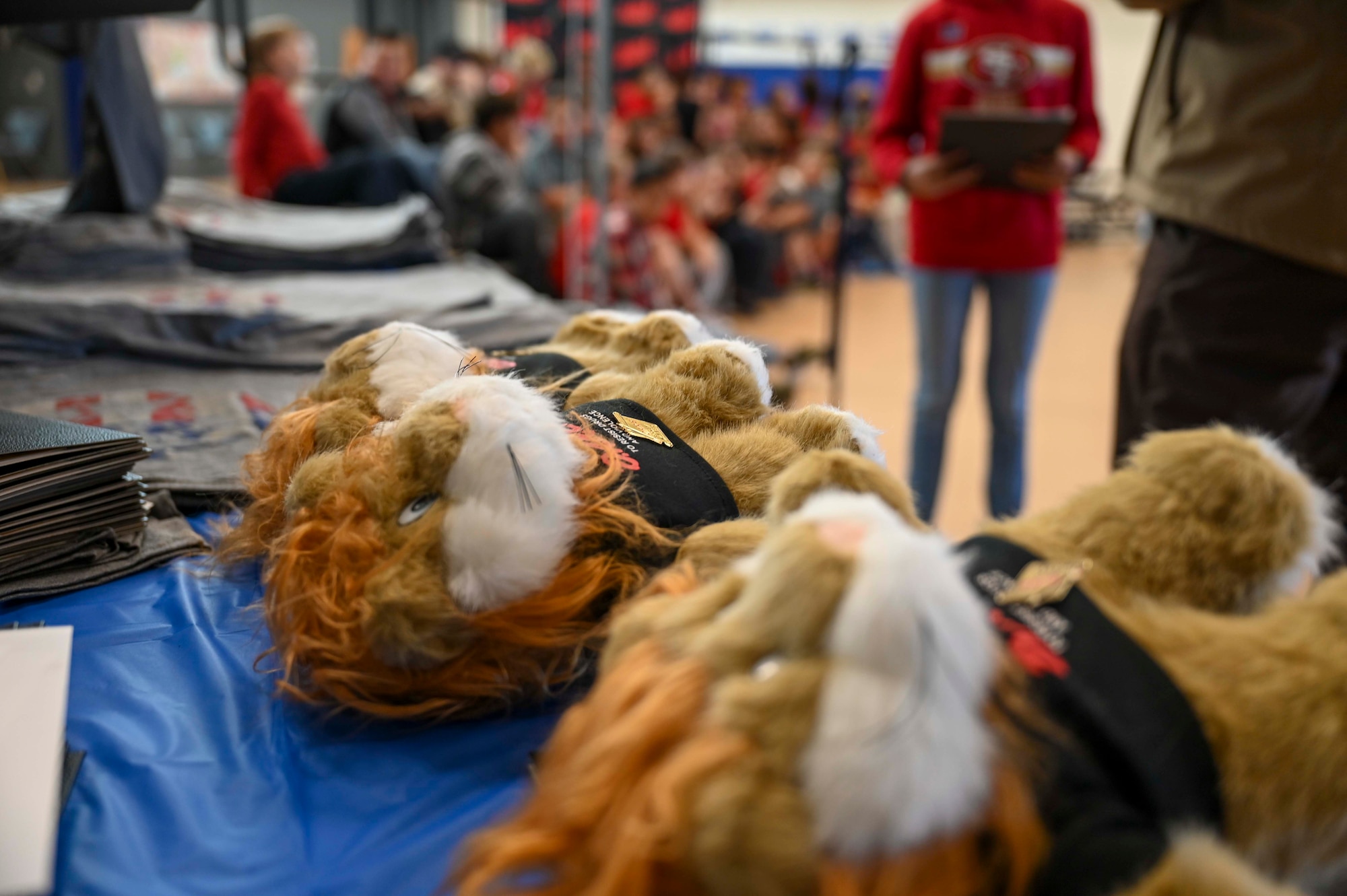 Drug Abuse Resistance Education teddy bear, shirts and certificates are put on display to be handed out to 72 graduates at Holloman Air Force Base, New Mexico, Oct. 31, 2024. The D.A.R.E. program is funded by donations from the community and allows kids to develop and refine their decision-making abilities, empowering them to live safe and healthy lives. (U.S. Air Force photo by Airman 1st Class Michelle Ferrari)