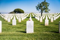 A rose lays upon the headstone of former Sergeant Major of the Marine Corps, Sgt. Maj. Leland D. Crawford, at Fort Rosecrans National Cemetery, San Diego, California, Nov. 10, 2024. The wreath laying ceremonies are a continuing part of the Marine Corps birthday tradition and honor the service to Corps and Country. (U.S. Marine Corps photo by Cpl. Francisco Angel)