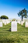 A rose lays upon the headstone of former Sergeant Major of the Marine Corps, Sgt. Maj. Leland D. Crawford, at Fort Rosecrans National Cemetery, San Diego, California, Nov. 10, 2024. The wreath laying ceremonies are a continuing part of the Marine Corps birthday tradition and honor the service to Corps and Country. (U.S. Marine Corps photo by Cpl. Francisco Angel)
