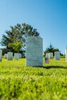 A rose lays upon the headstone of former Sergeant Major of the Marine Corps, Sgt. Maj. Leland D. Crawford, at Fort Rosecrans National Cemetery, San Diego, California, Nov. 10, 2024. The wreath laying ceremonies are a continuing part of the Marine Corps birthday tradition and honor the service to Corps and Country. (U.S. Marine Corps photo by Cpl. Francisco Angel)