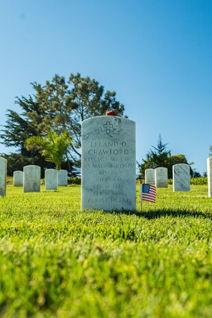 A rose lays upon the headstone of former Sergeant Major of the Marine Corps, Sgt. Maj. Leland D. Crawford, at Fort Rosecrans National Cemetery, San Diego, California, Nov. 10, 2024. The wreath laying ceremonies are a continuing part of the Marine Corps birthday tradition and honor the service to Corps and Country. (U.S. Marine Corps photo by Cpl. Francisco Angel)