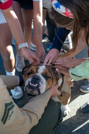 U.S. Marine Corps Lance Cpl. Bruno, the Marine Corps Recruit Depot San Diego and the Western Recruiting Region mascot, attends a veteran’s appreciation day event at Sunset Hills Elementary School, San Diego, Nov. 7, 2024. Sunset Hills Elementary school held the event to showcase the brave men and women who serve this country and in the local community. (U.S. Marine Corps photo by Cpl. Francisco Angel)