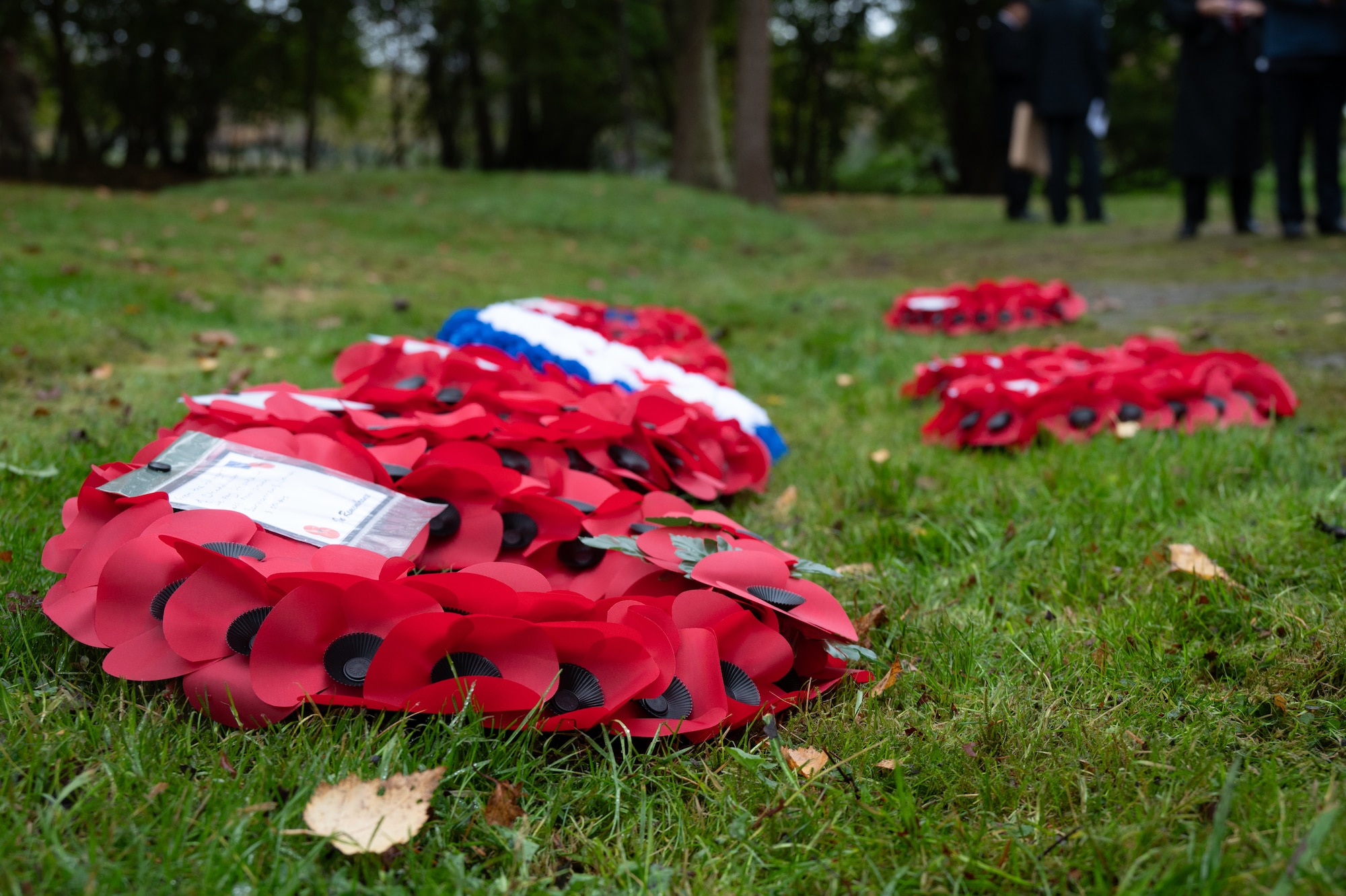Wreaths are displayed