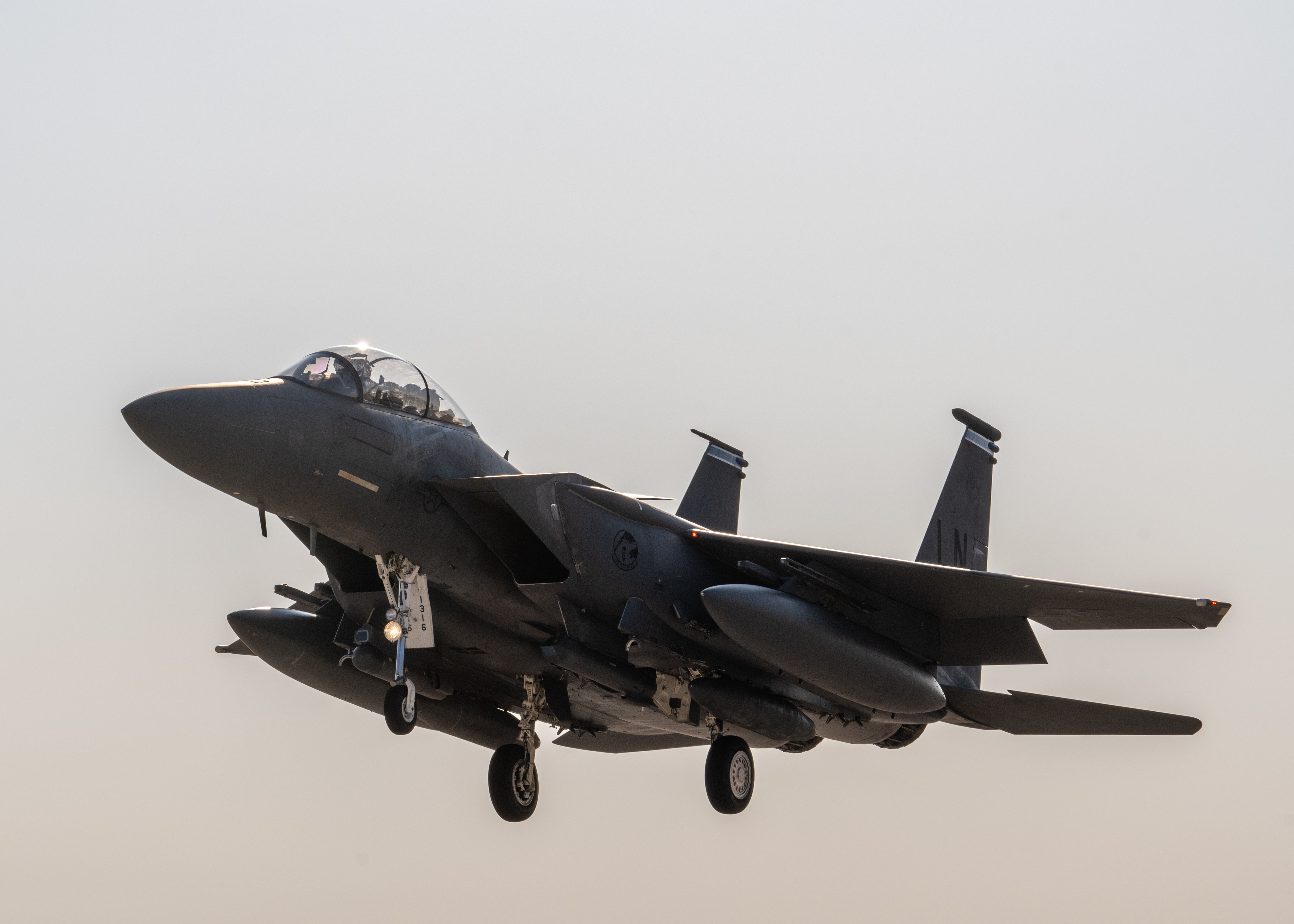 US AIR FORCE PILOT/エリートフォース　F15イーグル F-15 Eagle > Air Force > Fact Sheet Display