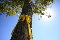 Beale family members tie yellow ribbons around trees near their homes at Beale Air Force Base, California, Sept. 27, 2024