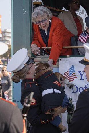 U.S. Marines Corps Cpl. Sarah Grawcock, the mascot handler and photo chief for Marine Corps Recruit Depot San Diego, and Lance Cpl. Bruno, the MCRD San Diego and the Western Recruiting Region mascot, greet retired U.S. Marine Randy Tidmore prior to marching in the San Diego Veterans Day Parade in San Diego, California, Nov. 11, 2024. Tidmore enlisted on Jan. 4, 1944 and is currently 102 years old. The mascot’s job is to boost morale, participate in outreach work and attend events and ceremonies. (U.S. Marine Corps photo by Cpl. Alexandra M. Earl)