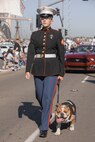 U.S. Marines Corps Cpl. Sarah Grawcock, the mascot handler and photo chief for Marine Corps Recruit Depot San Diego, and Lance Cpl. Bruno, the MCRD San Diego and the Western Recruiting Region mascot, march in the San Diego Veterans Day Parade in San Diego, California, Nov. 11, 2024. The mascot’s job is to boost morale, participate in outreach work and attend events and ceremonies. (U.S. Marine Corps photo by Cpl. Alexandra M. Earl)
