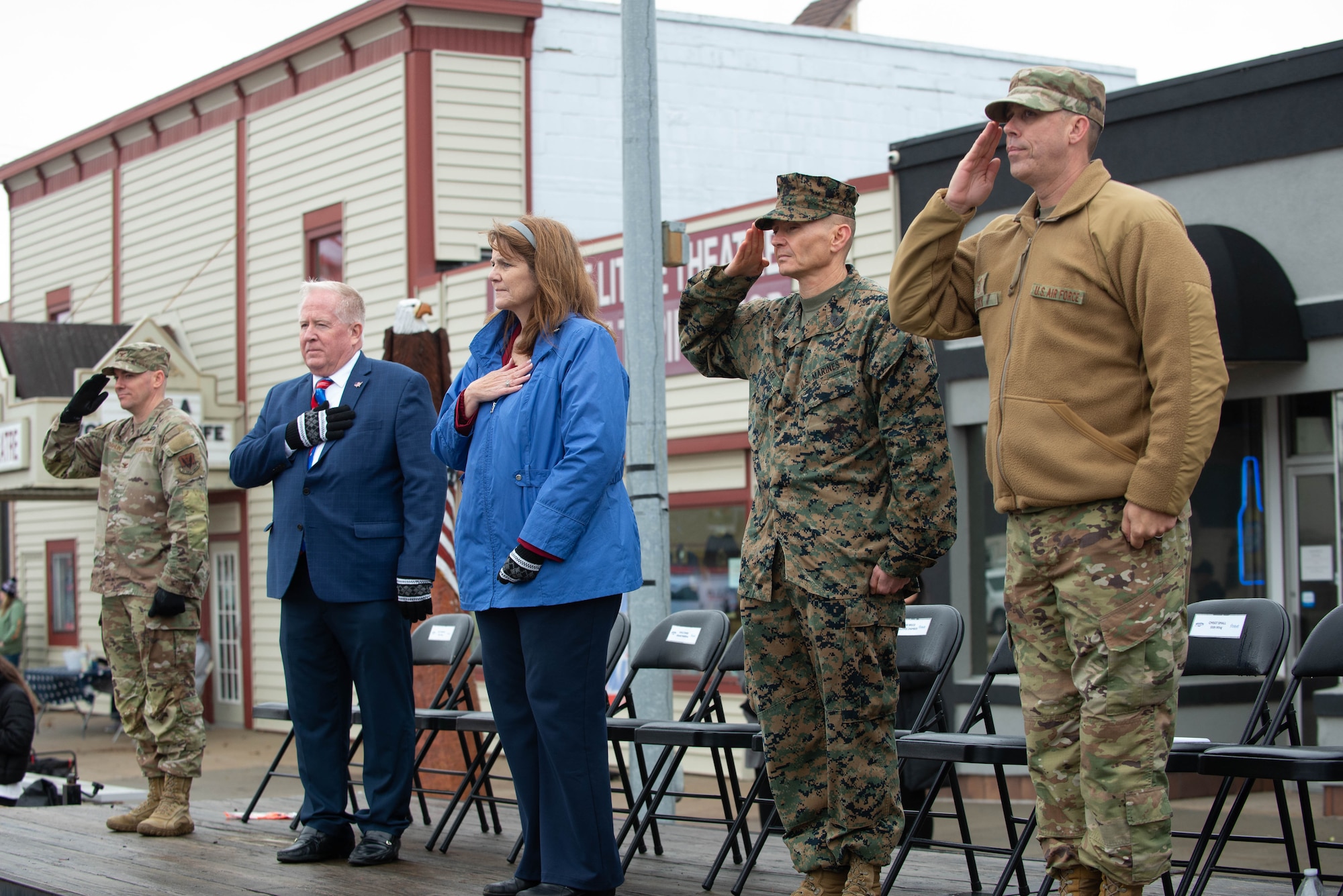 People salute passing processions at Veterans Day parade
