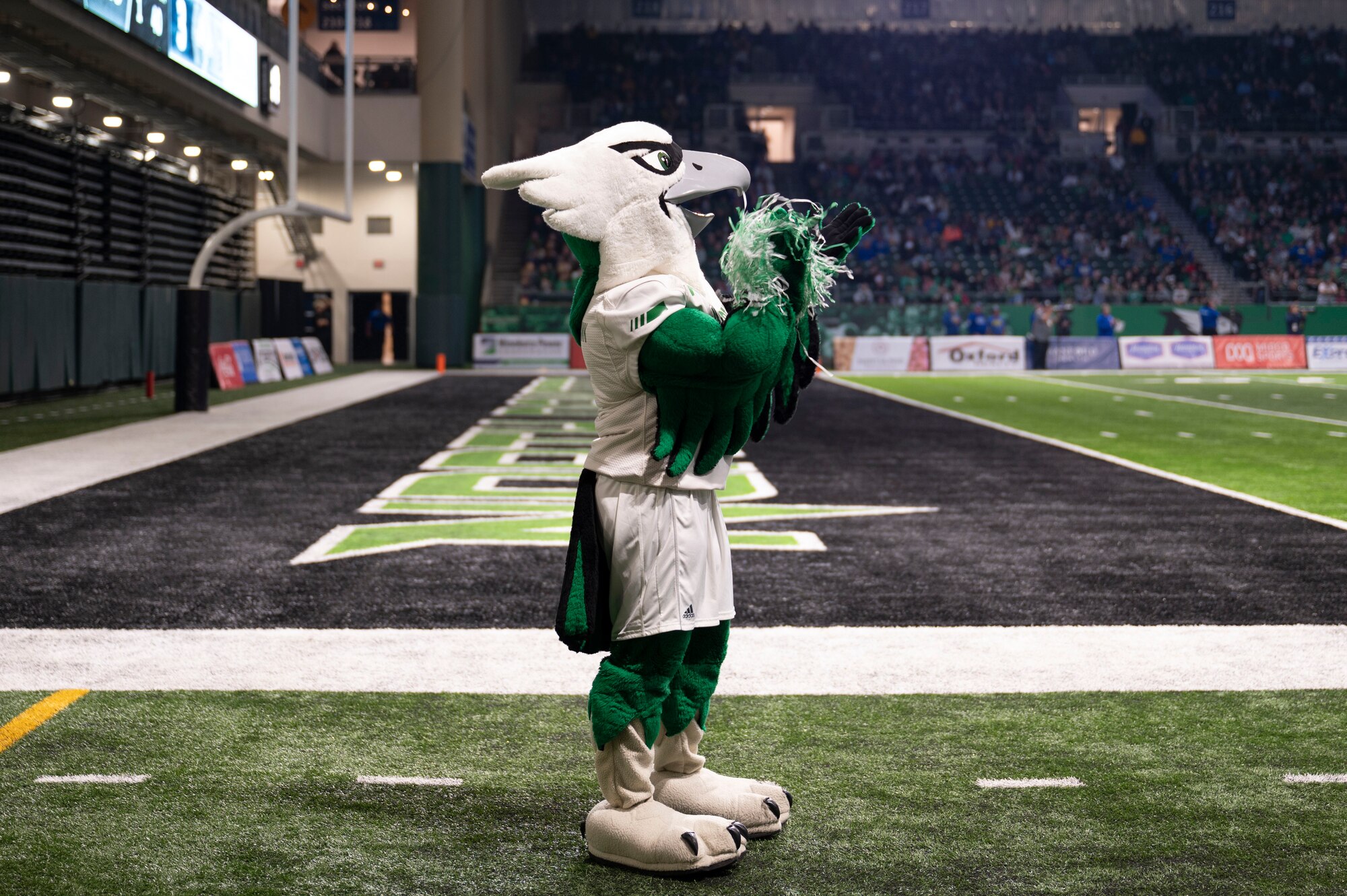 University of North Dakota’s mascot, the Fighting Hawk, cheers during the annual military appreciation day at the Alerus Center in Grand Forks, North Dakota, Nov. 9, 2024.
