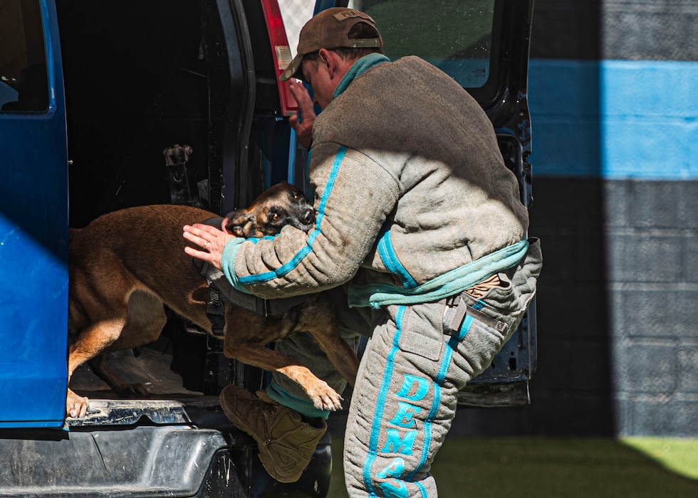 U.S. Air Force military working dog Bboa performs bite training with U.S. Air Force Staff Sgt. Henry Pearson, 56th Security Forces military working dog handler, Nov. 7, 2024, at Luke Air Force Base, Arizona.