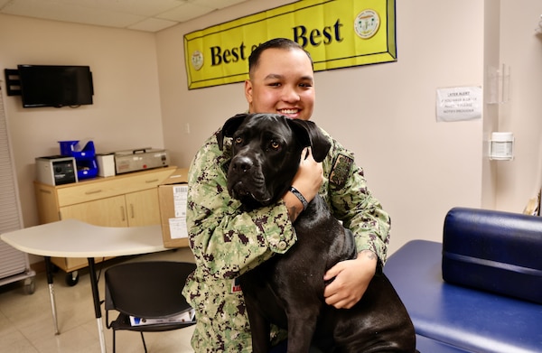 Therapy dog Hela, a two-year-old Cane Corso, visits with service members and patients at Naval Hospital Twentynine Palms, bringing comfort and lifting spirits as part of the hospital’s therapeutic services. Handler Lt. Cmdr. Kat McMurtray, an occupational therapist, says Hela's calm presence helps patients feel at ease, making treatments more manageable for both patients and staff (U.S. Navy photo by Christopher C. Jones, NHTP/NMRTC Twentynine Palms public affairs officer).