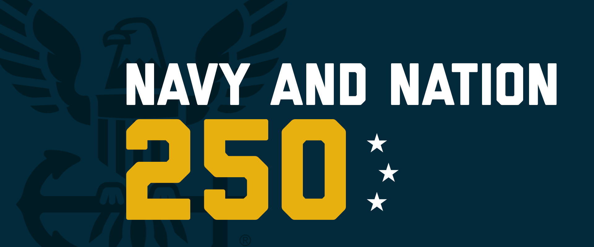 Navy 250 banner image