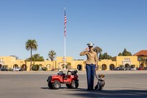U.S. Marine Corps Cpl. Sarah M. Grawcock, a combat photographer and mascot handler with Headquarters and Service Battalion, and Lance Cpl. Bruno the Marine Corps Recruit Depot San Diego and the Western Recruiting Region mascot salute during Hotel Company, 2nd Recruit Training Battalion graduation ceremony at MCRD San Diego, California, Nov. 8, 2024. This ceremony marked the end of a 13-week transformation that included training in drill, marksmanship, basic combat skills, and Marine Corps customs and traditions. (U.S. Marine Corps photo by Lance Cpl. Janell B. Alvarez)