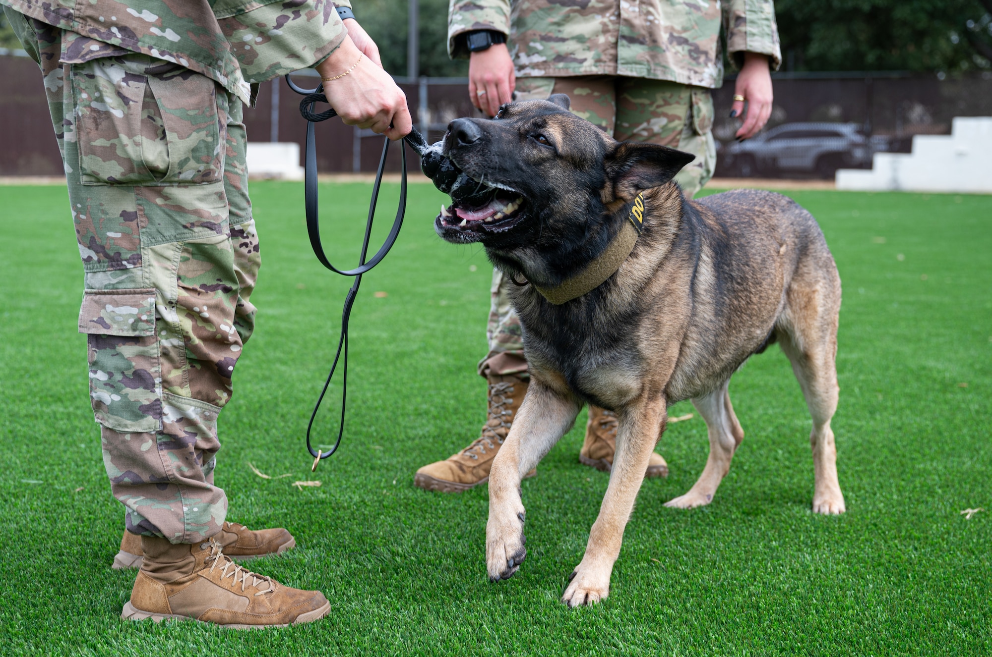 Castro the MWD trains